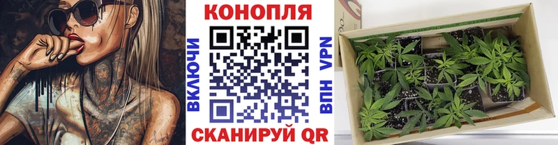 Купить закладки  Североморск  Бошки марихуана конопля 